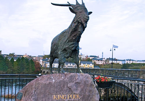 Killorglin Co Kerry - King Puck
